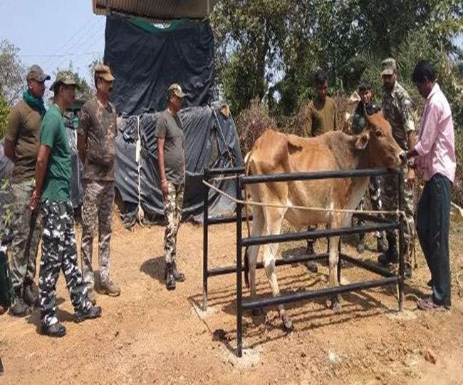 पशुओं को लेकर पहुंचे ग्रामीण