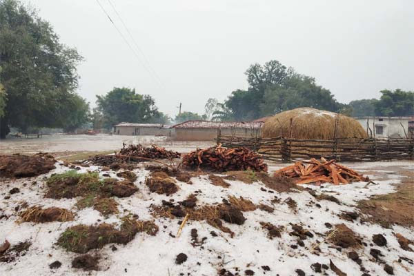 सरगुजा के दर्जनों गांवों में ओलों ने मचाई भारी तबाही