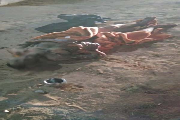 ITBP के जवान ने चारामा में खुद को लगाई आग, 70 फीसदी झुलसा