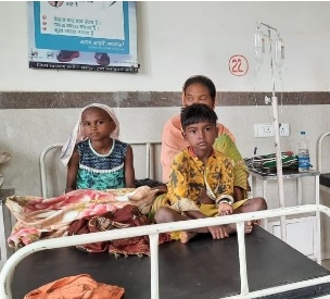 जंगली मशरूम