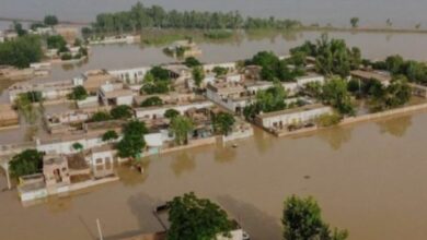Punjab Flood