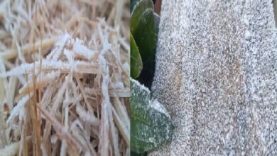 Severe cold in Mainpat