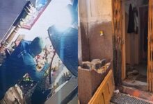 Theft In Danteshwari Mandir