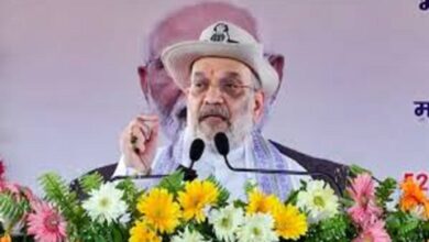 Amit Shah On West Bengal Elections: