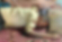 Daughter Kills Father