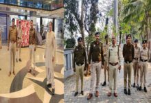 Valentine's Day Alert