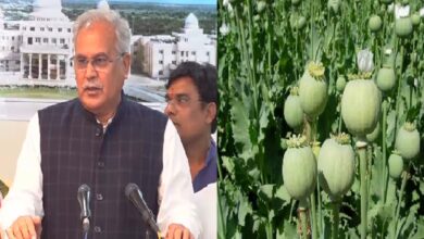 Bhupesh Baghel On BJP