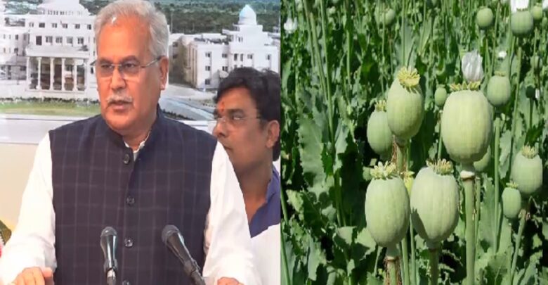 Bhupesh Baghel On BJP