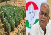 Bhupesh Baghel on Opium Cultivation