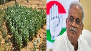 Bhupesh Baghel on Opium Cultivation