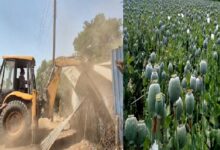 Durg Opium Farming