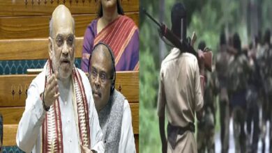 Discussion On Naxalism In Lok Sabha