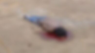 Bhanupratappur News: