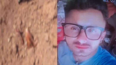 Abhanpur Murder Update