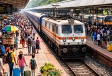 Summer Special Trains