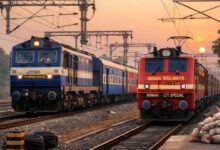 Summer Special Trains