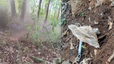 Dantewada Naxal News