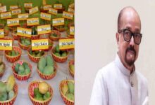National Mango Festival