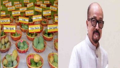 National Mango Festival