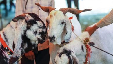 Bakrid 2026