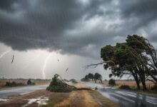 CG Weather Update