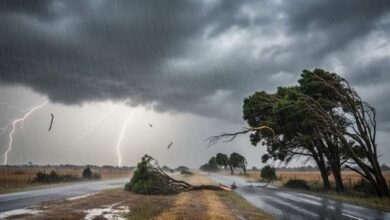 CG Weather Update
