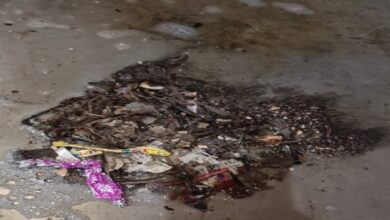Raipur Bomb Attack