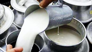 Milk Price Hike