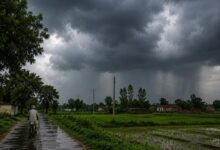 Mansoon Update