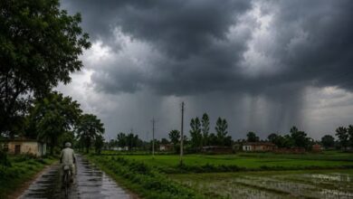 Mansoon Update