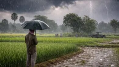 Mansoon Entry Dates 2026