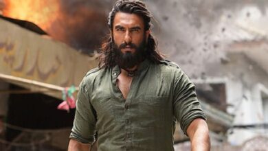 Ranveer Singh Don 3 Controversy