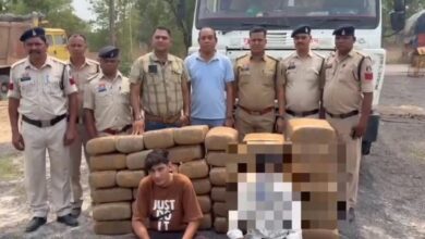 CG Ganja Seized