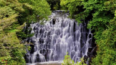 Tourist Places In Monsoon