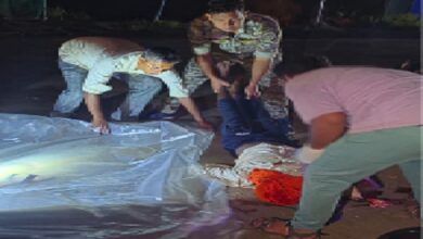 CG Accident News