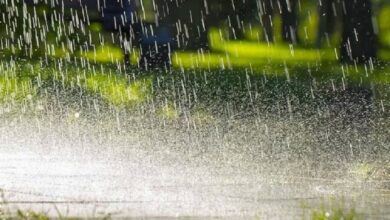 CG Weather News