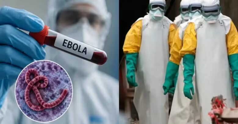 Ebola Virus