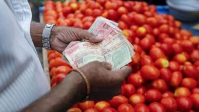 Tomato Prices Hike