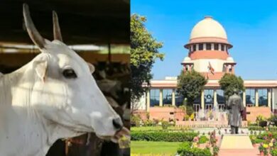 Supreme Court Stays Madras High Court Order