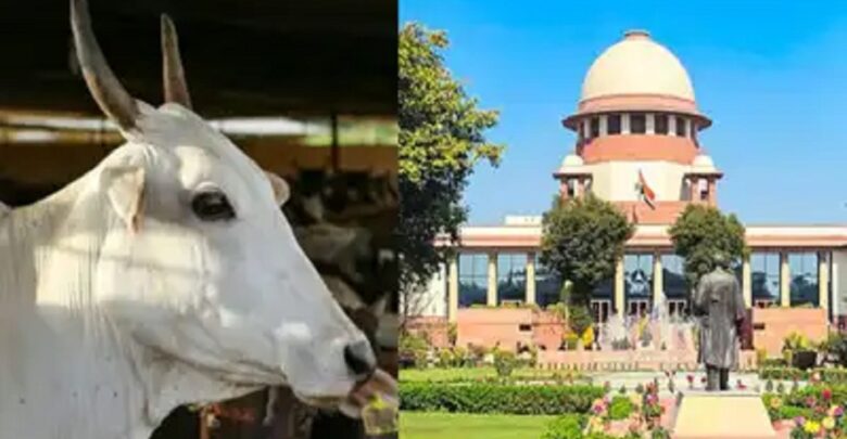 Supreme Court Stays Madras High Court Order