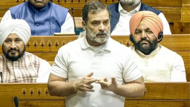 Rahul Gandhi On Lok Sabha