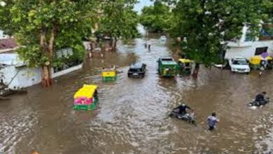 Gujarat Flood Crisis