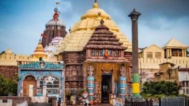Jagannath Puri Rath Yatra