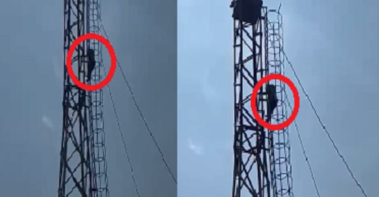 Surajpur Viral Video