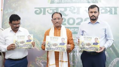 Gajrath Yatra