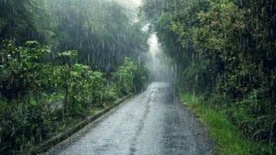 CG Weather Update