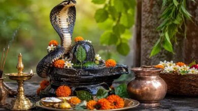 Nag Panchami 2026