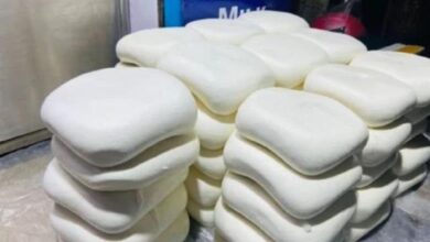 Analog Paneer Ban
