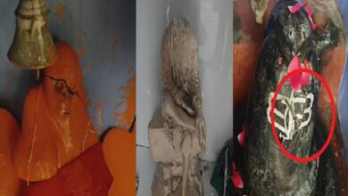 Raipur Murti Todfod