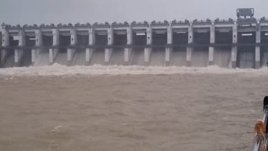 Gangrel Dam